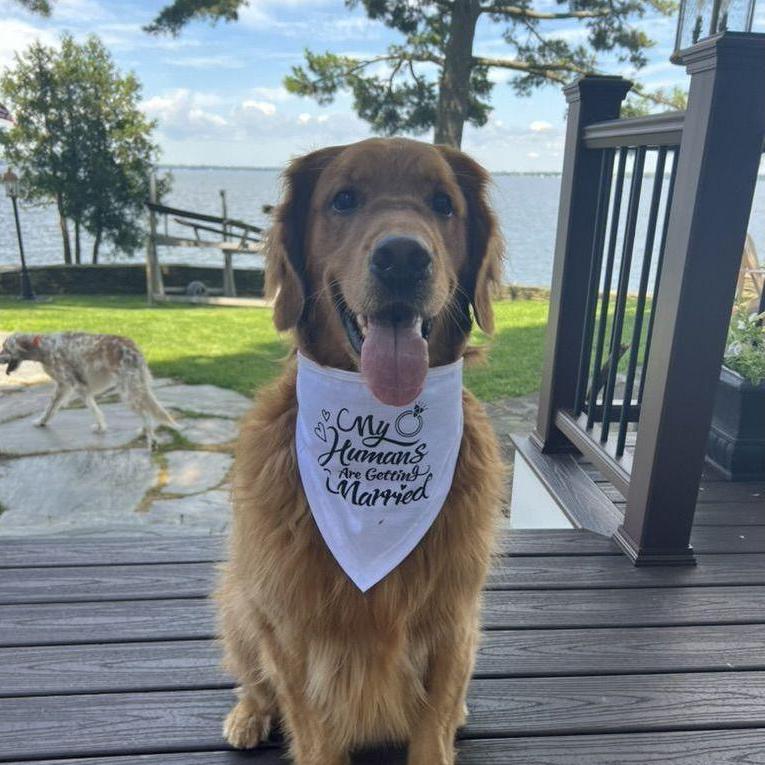 Best Dog Brodie reporting for Duty!