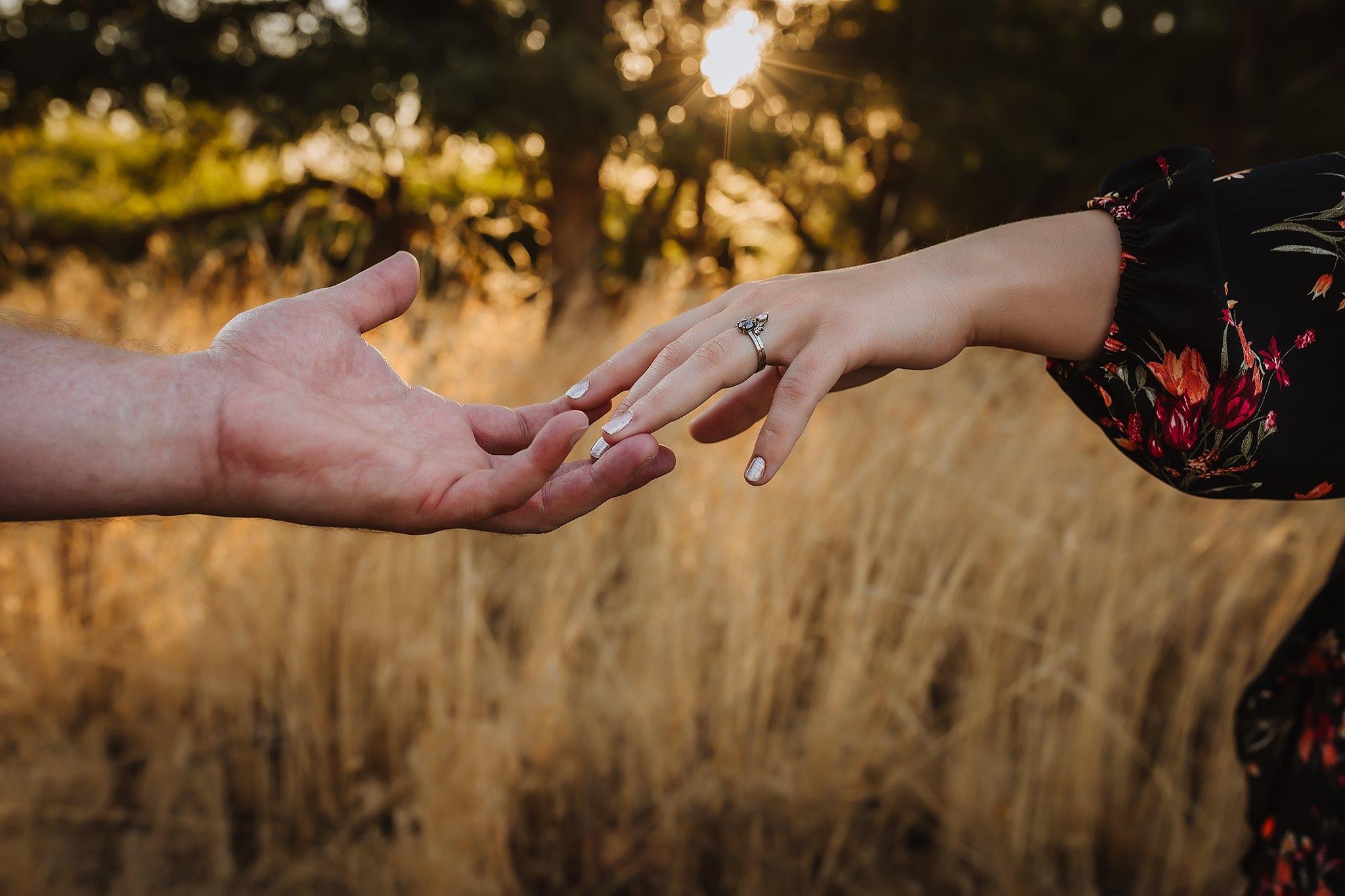 The Wedding Website of Alexandra Wilson and David Rose