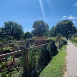 The Fens - Walk