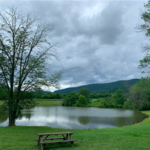 Pollak Vineyards