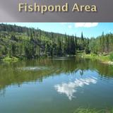 Pond