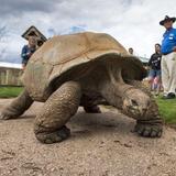 Reptile Gardens