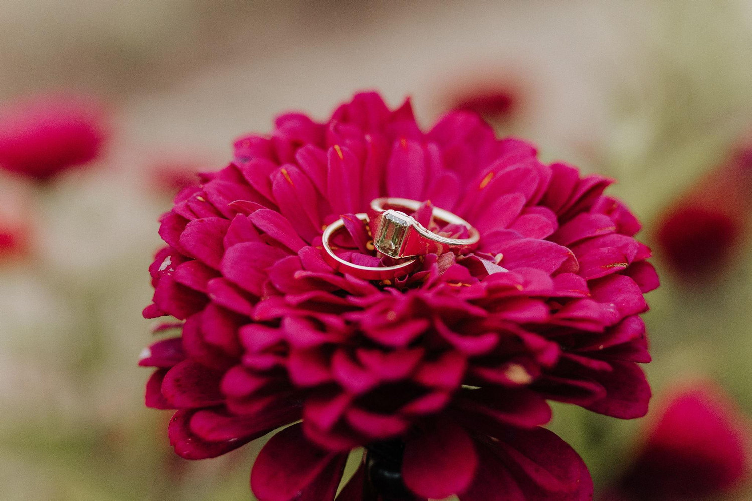 The Wedding Website of Lee Wright and Julia Eddy