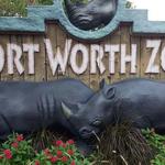 Fort Worth Zoo