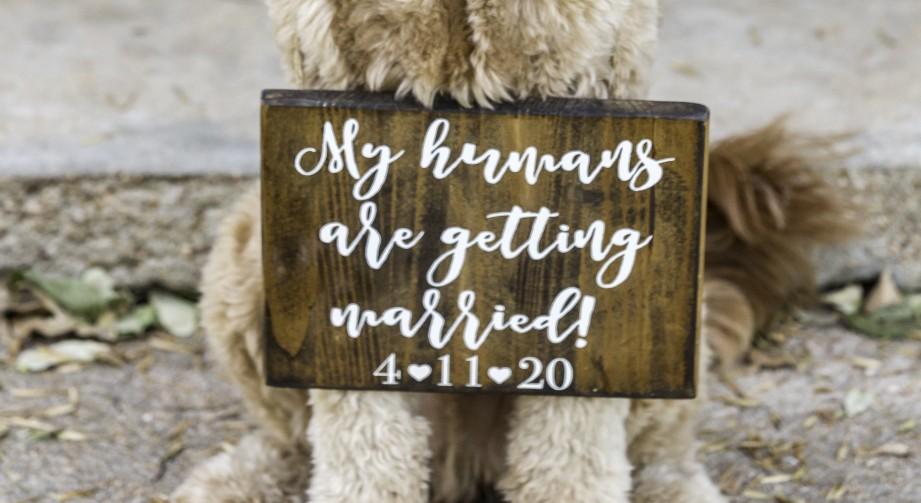 The Wedding Website of Christine Cornett and Zachary Baker