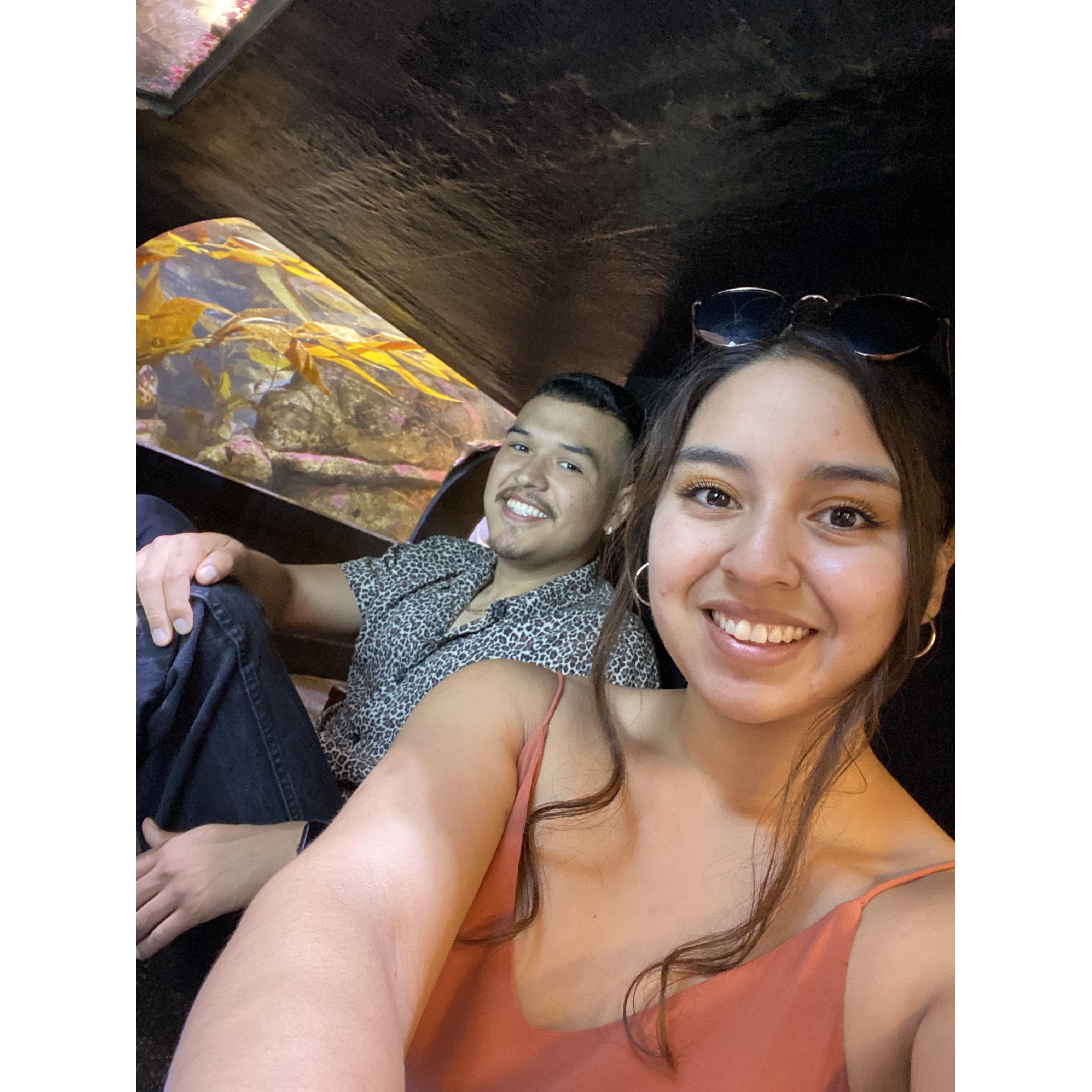 It's hard to tell but we're at an aquarium in this one - Under the Sea