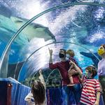 Greater Cleveland Aquarium