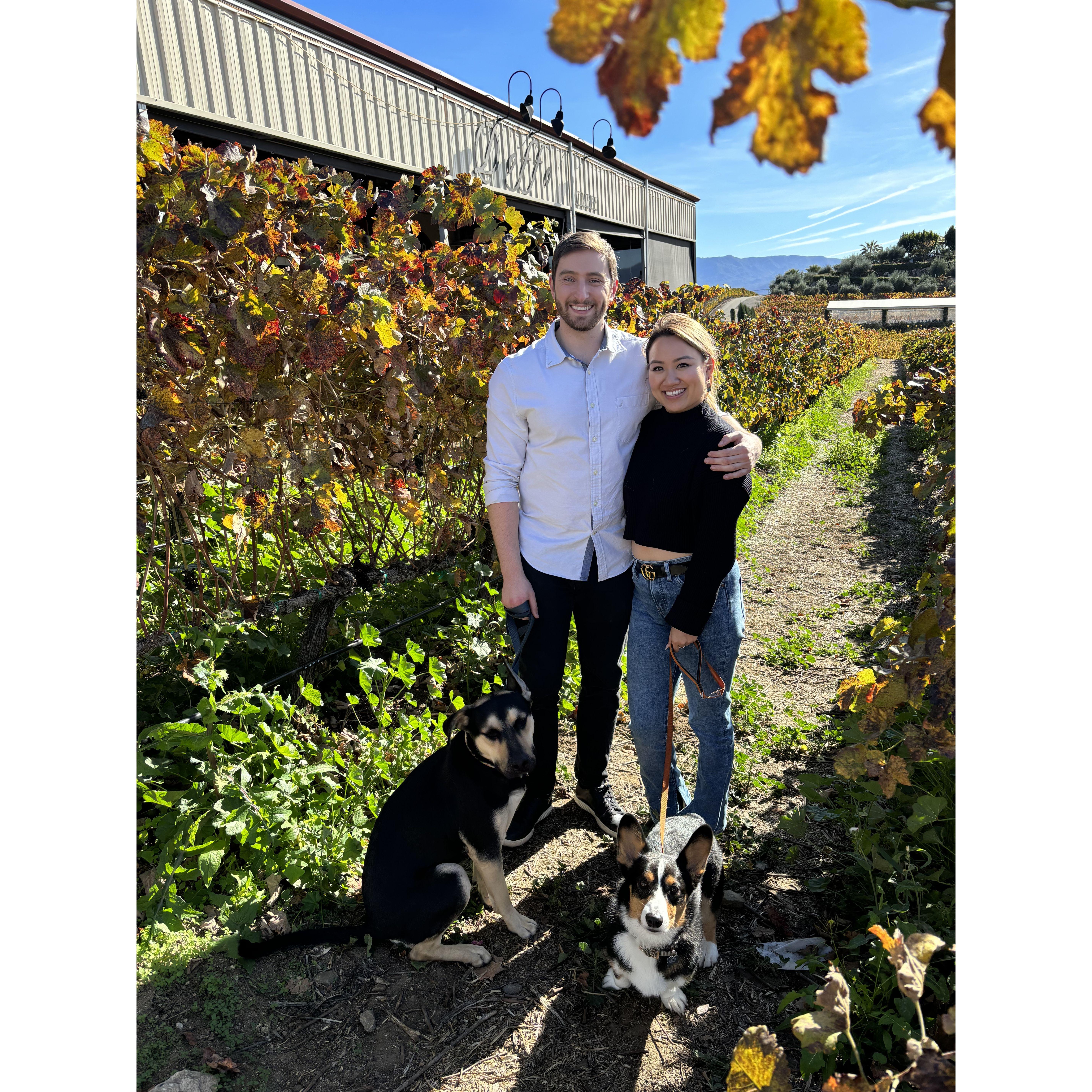 Jack's first time planning a trip... anywhere. Destination - Temecula and a hot air balloon ride for Michelle's birthday gift.