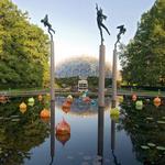 Missouri Botanical Garden