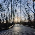 Wertheim National Wildlife Refuge