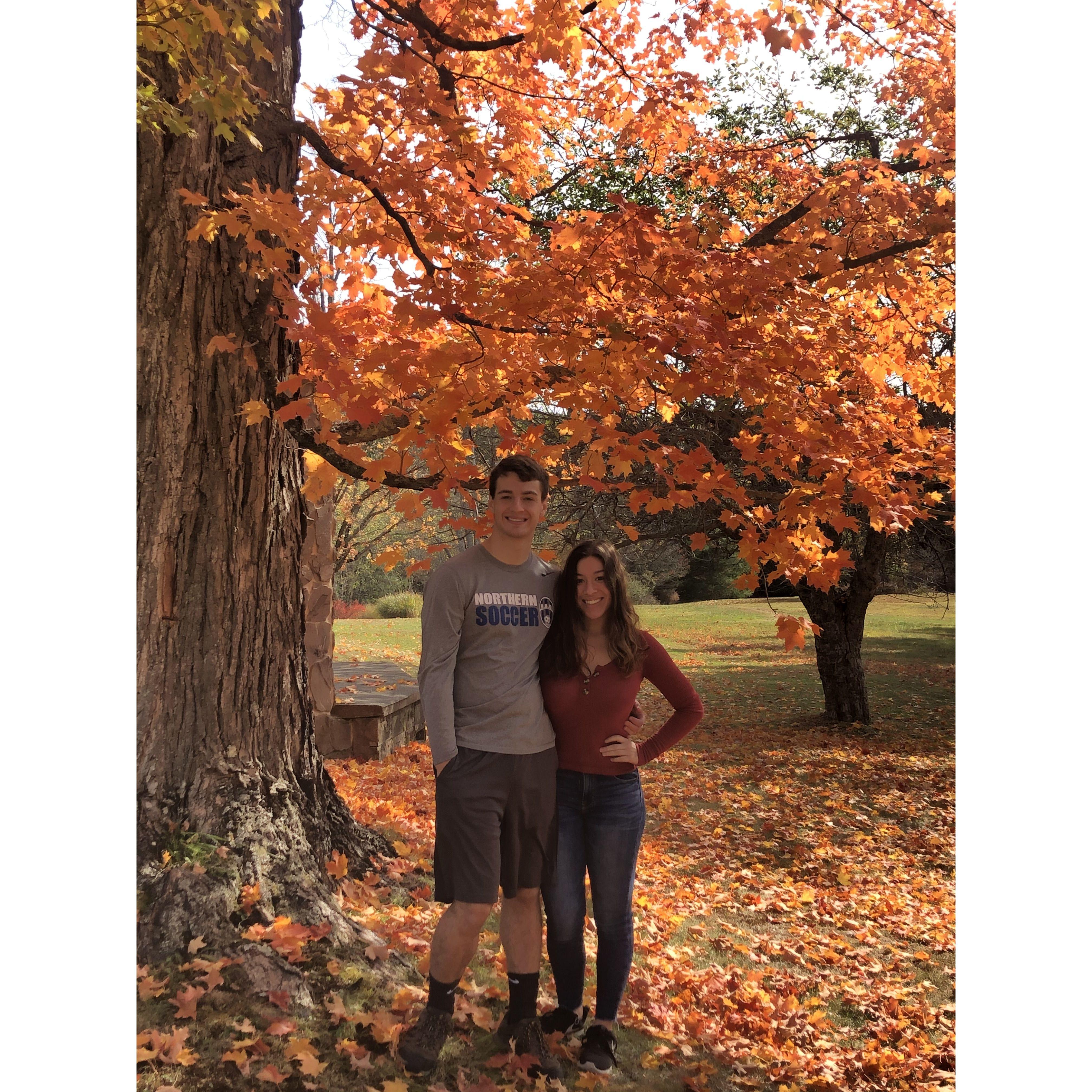 Sean's cabin in the middle of nowhere PA during the foliage :)