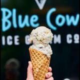 Blue Cow Ice Cream Co.