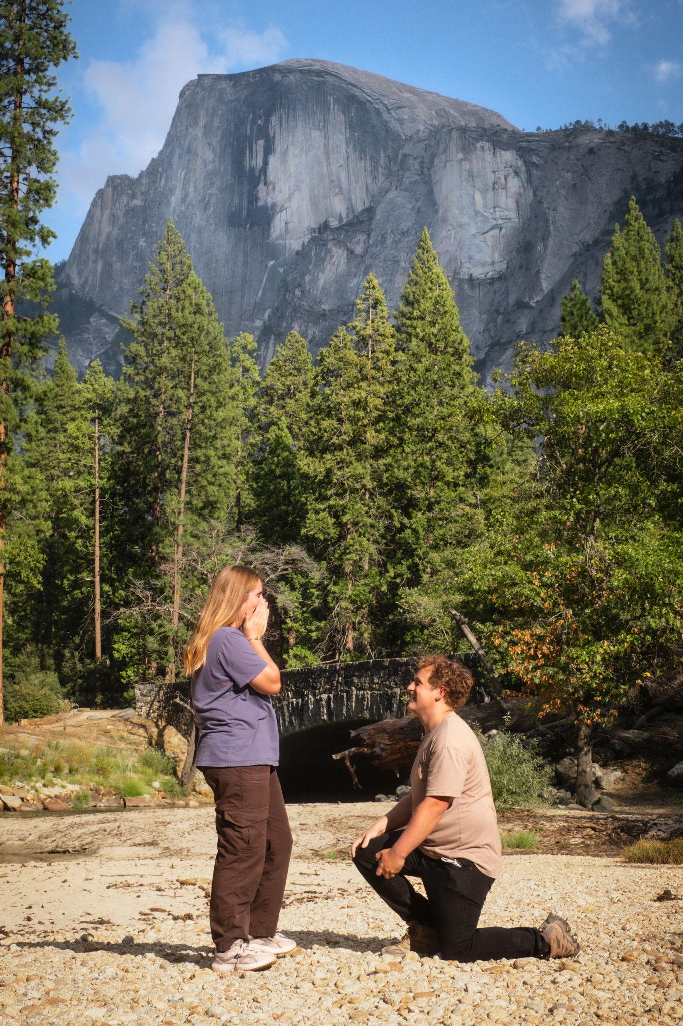 The Wedding Website of Naomi Stark and Israel Weaver