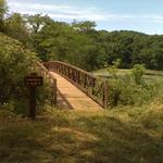 Trail Hiking