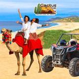 Beach UTV & Camel Ride COMBO
