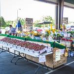 North Carolina State Farmers Market