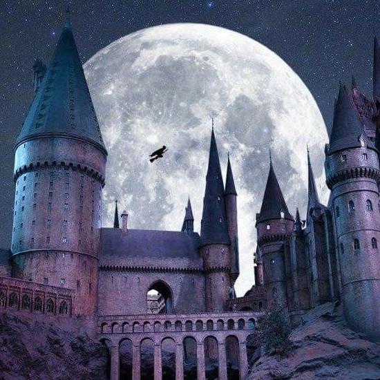 Harry Potter Hogwarts Honeymoon Trip 🪄✨