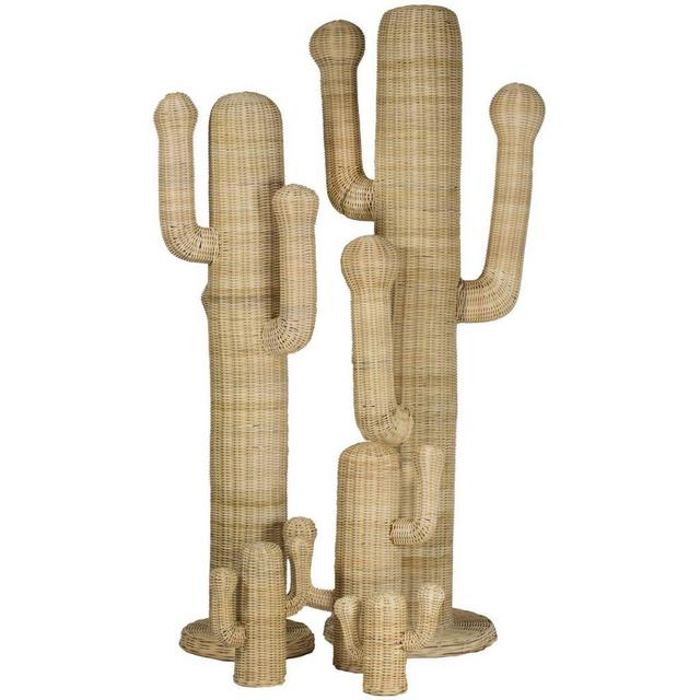 Sonora Cactus in Various Sizes design by Selamat