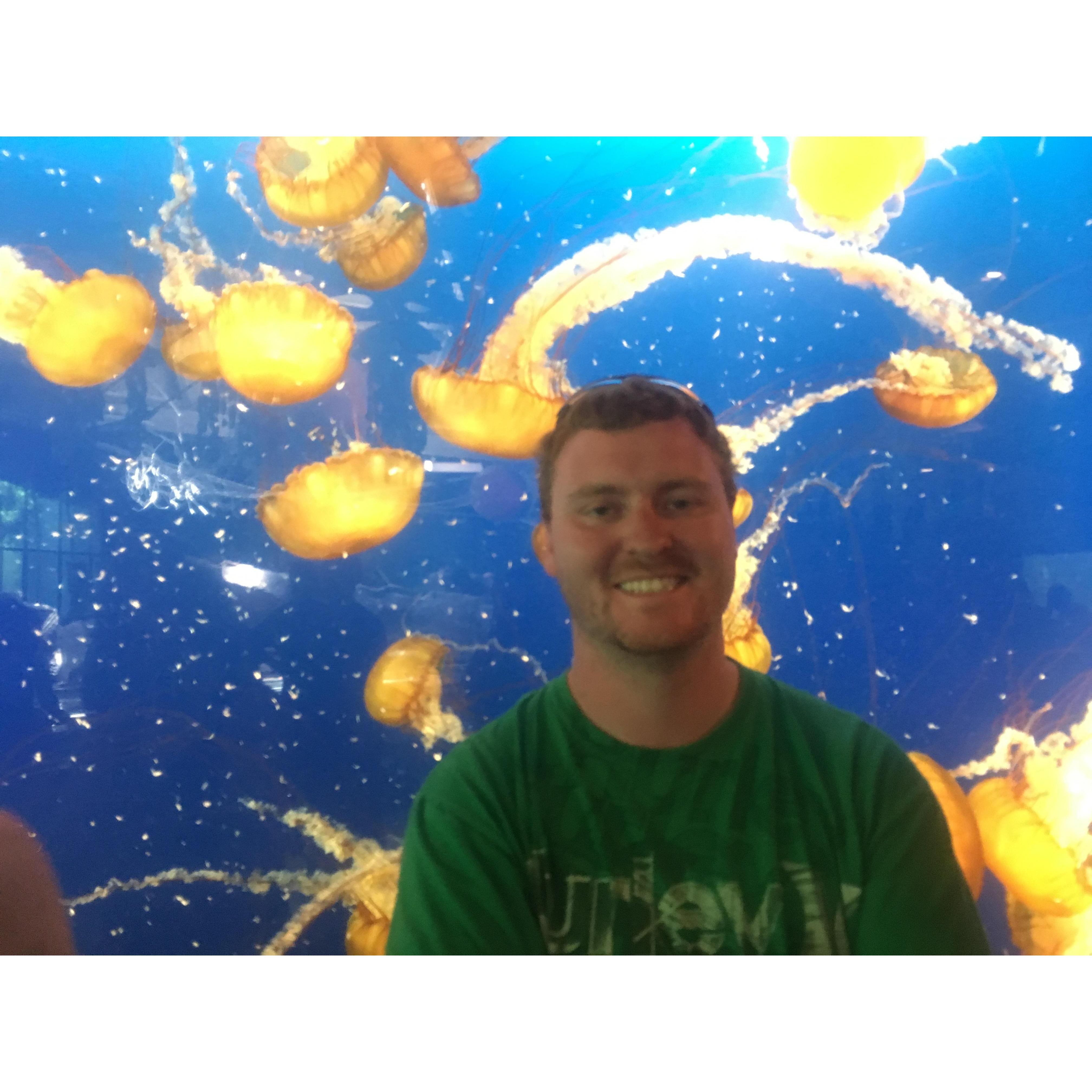 Jelly fish @ Vancouver Aquarium