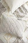 Tufted Banksia Shams