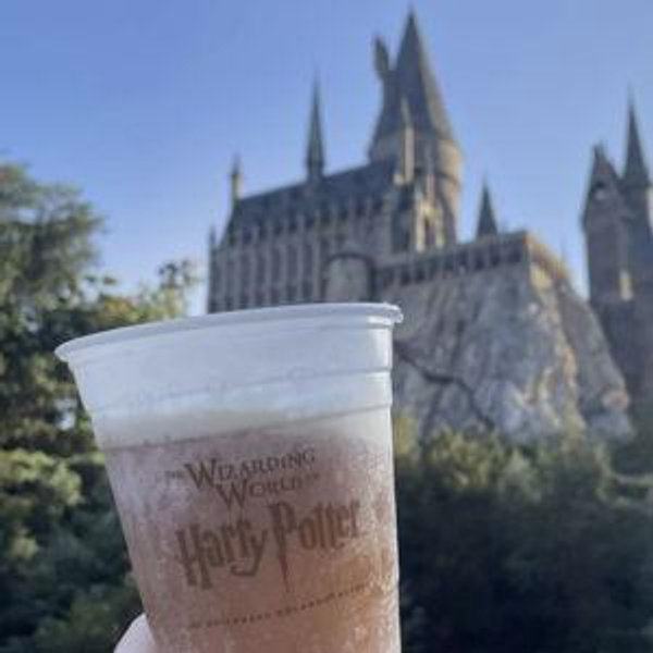 Harry Potter World - Orlando, FL