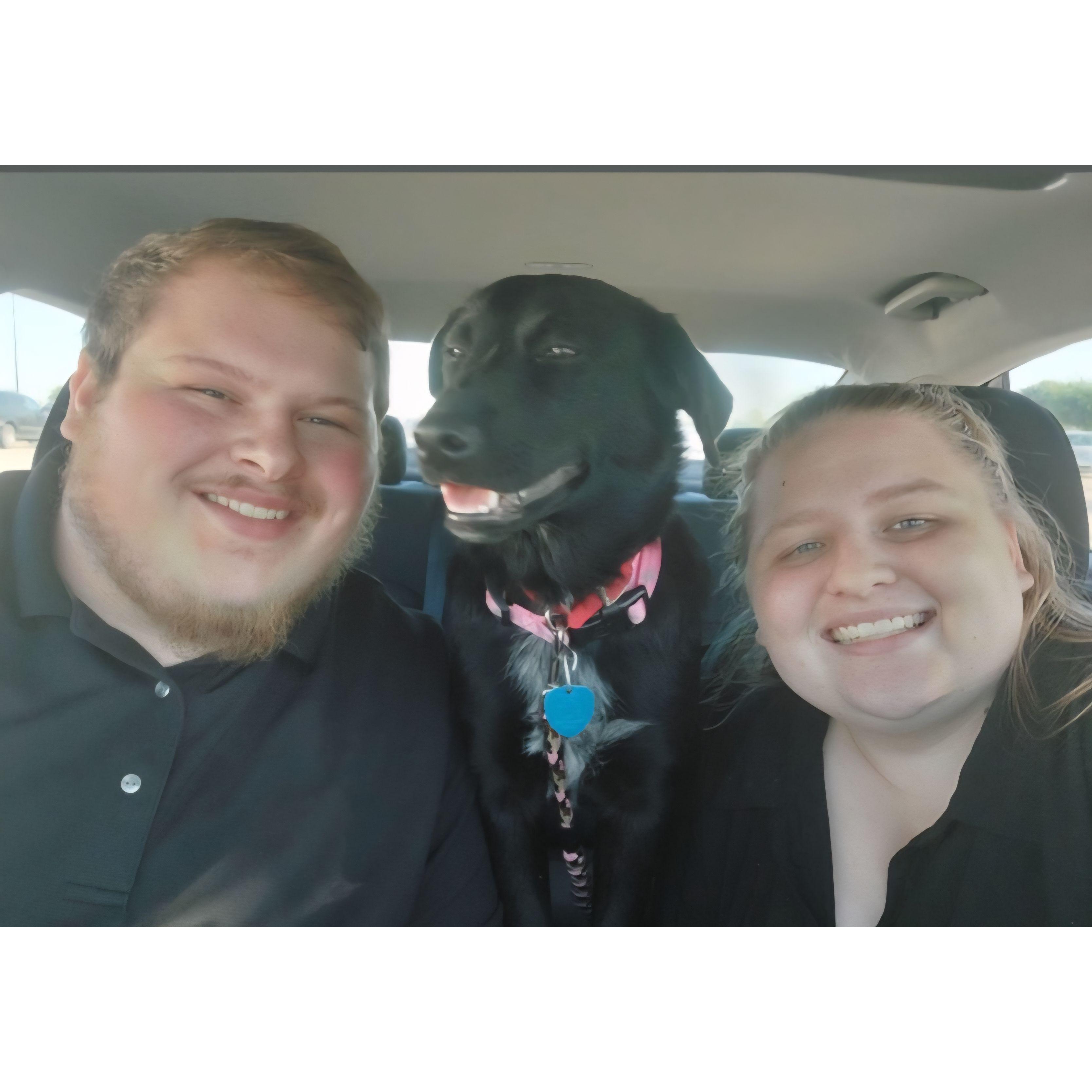 Bringing Stella home

April 4 2024