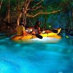 Kayaking Puerto Rico | Snorkeling & Bio Bay Tours