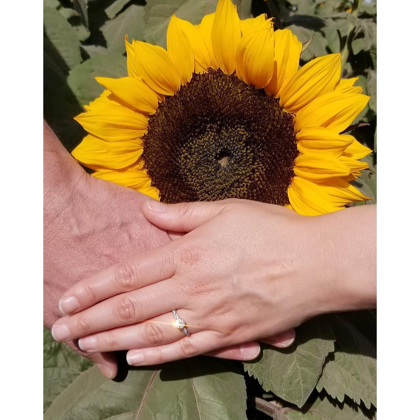 The Ring!