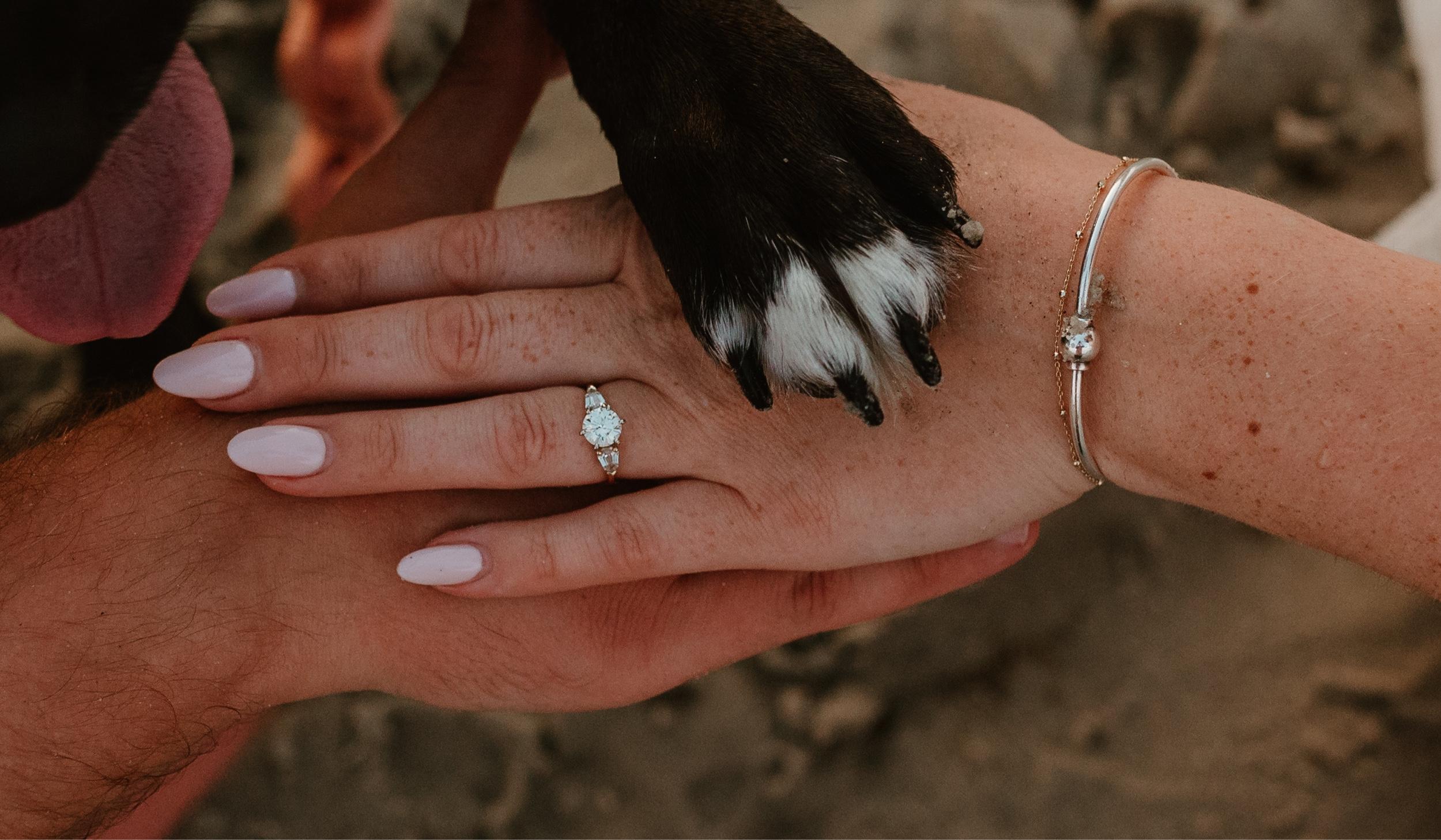 The Wedding Website of Sarah Donovan and Nicholas Staszewski