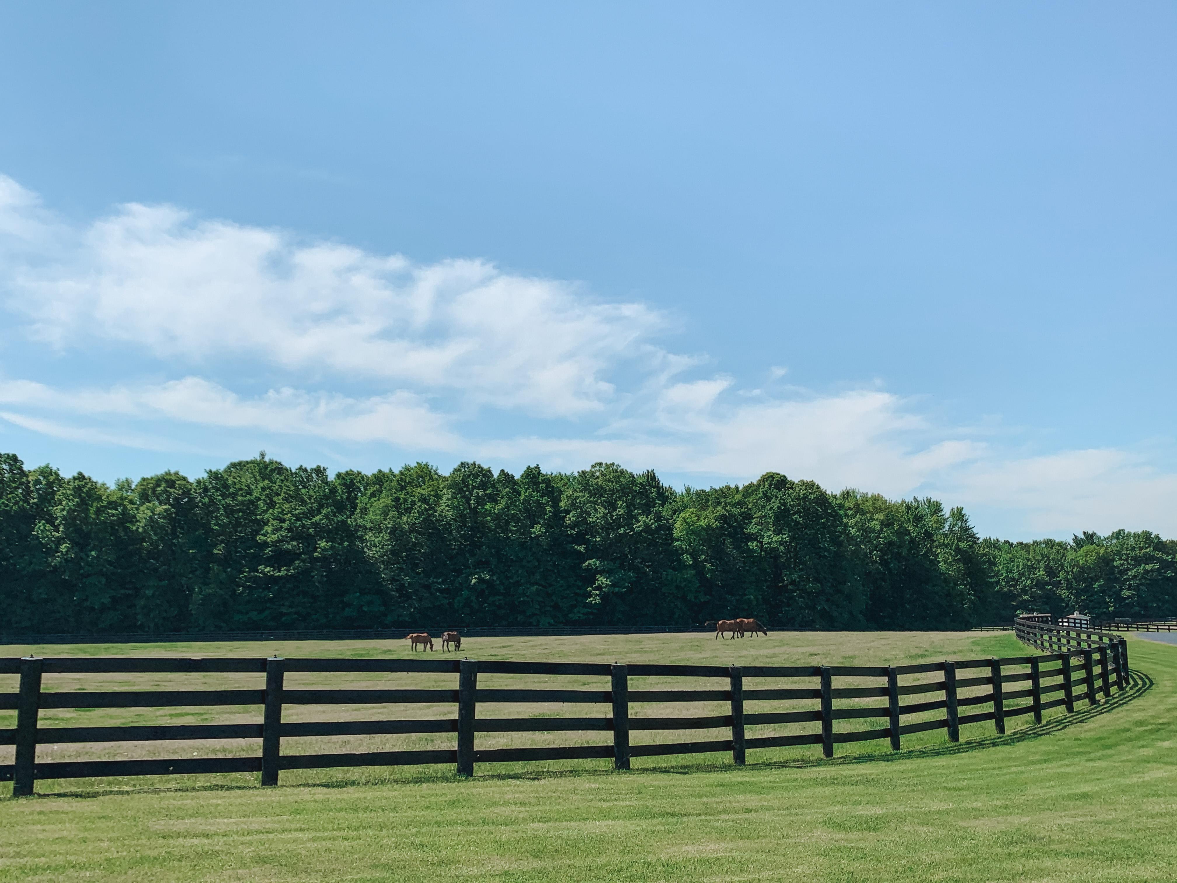 The Wedding Website of Kendall Bouma and Nate Alderman