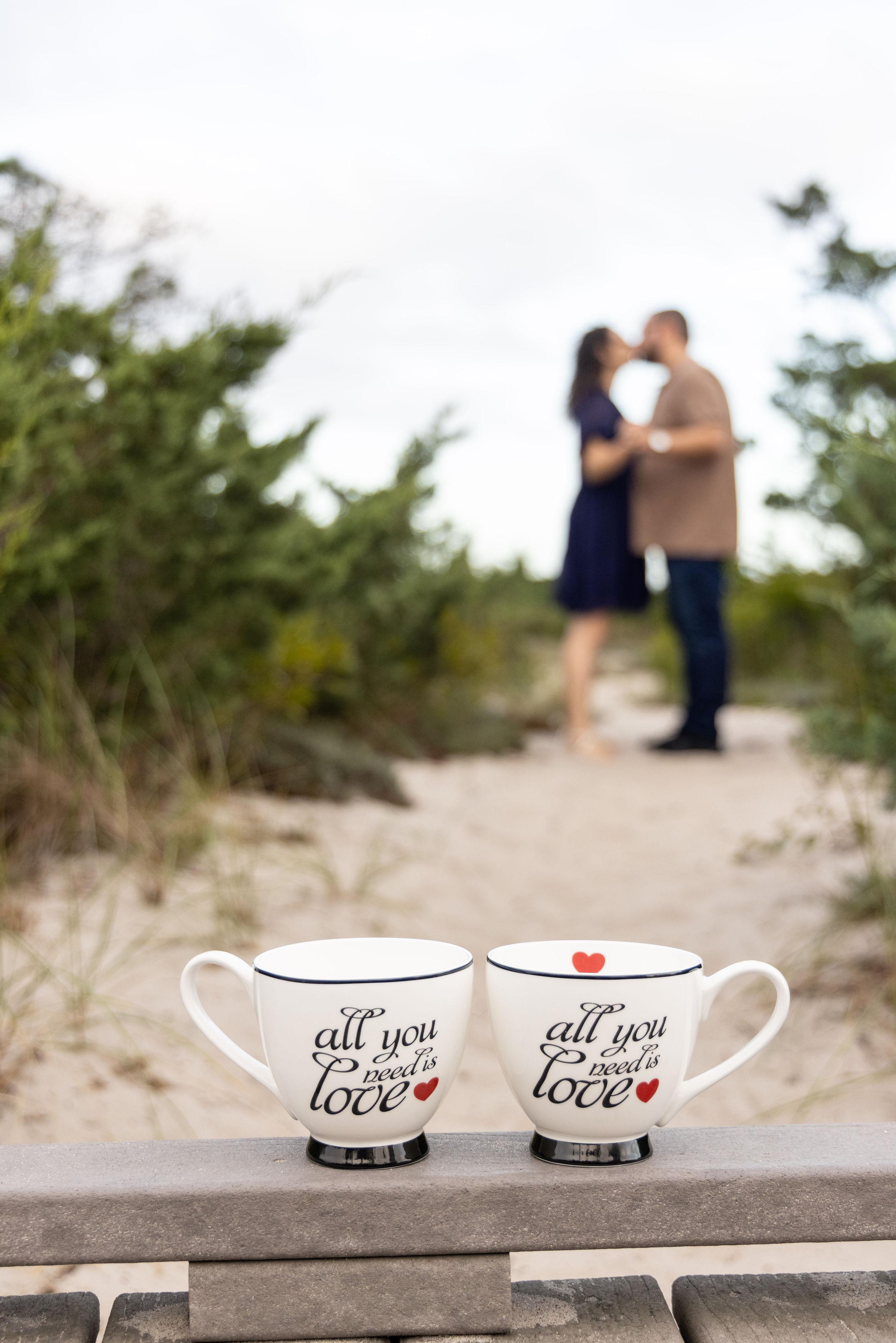 The Wedding Website of Monica Ioffe and Alan Lazebnik