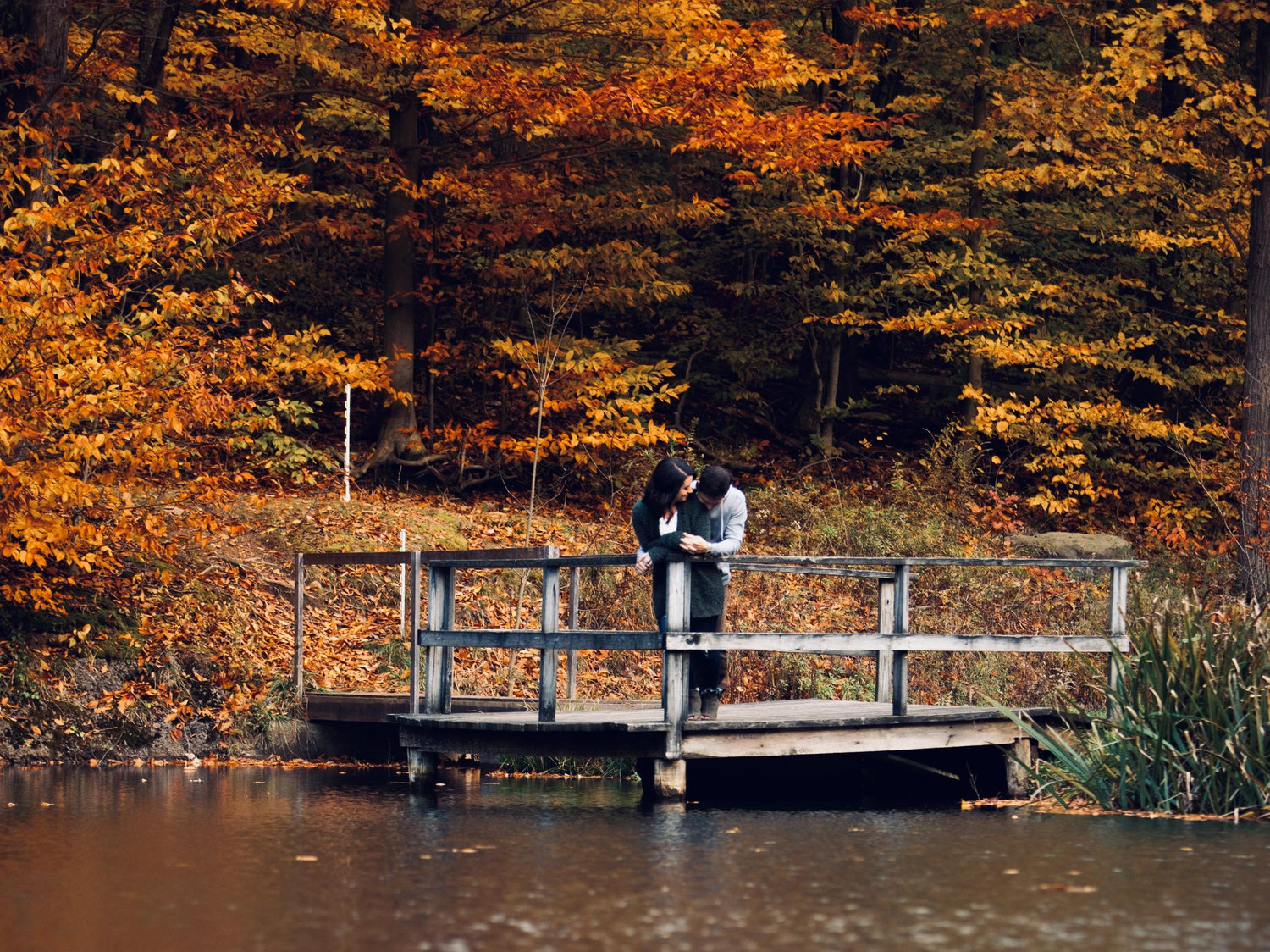 The Wedding Website of Taylor Kerns and Vince Bianco