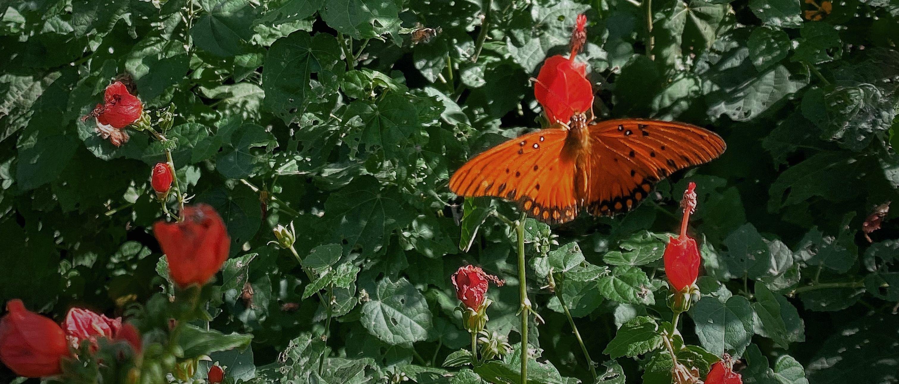 bbb8d7c2-931a-4e36-8c94-b7a27f17fec2