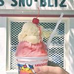 Hansen's Sno-Bliz