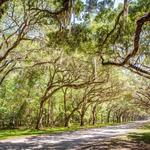 Wormsloe State Historic Site
