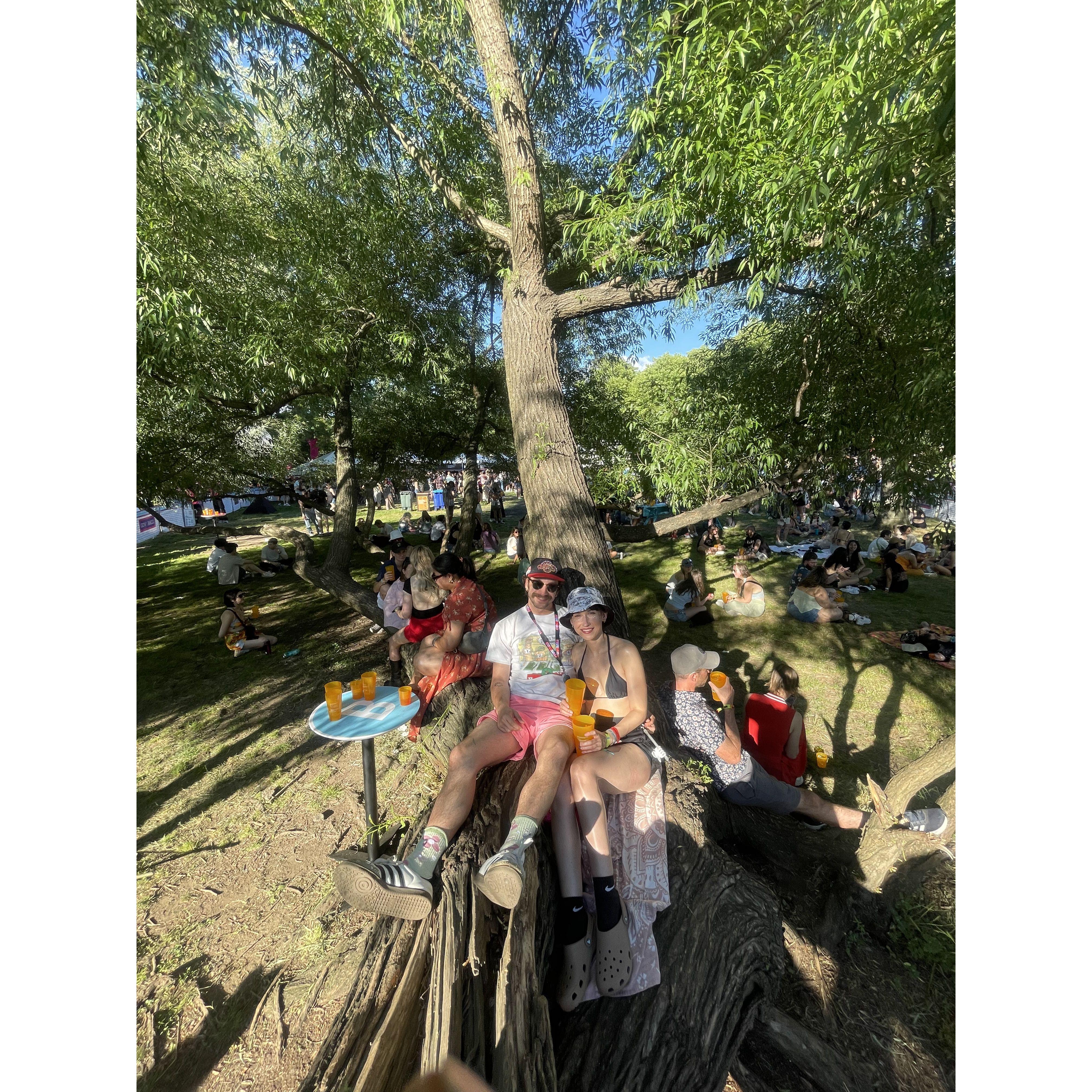 Our 4th Govball, watching Chappell Roan from the comfort of our tree. Queens, NY. 2024