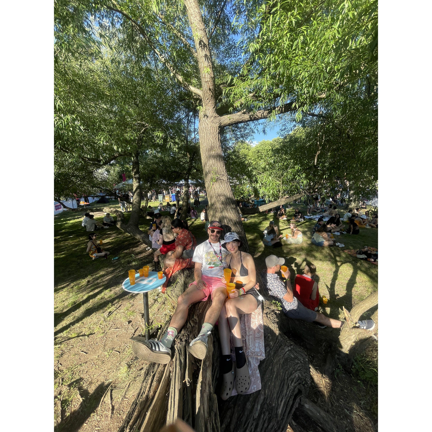 Our 4th Govball, watching Chappell Roan from the comfort of our tree. Queens, NY. 2024
