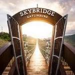 Gatlinburg Skybridge