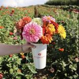 R & A Orchards