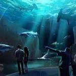 Georgia Aquarium