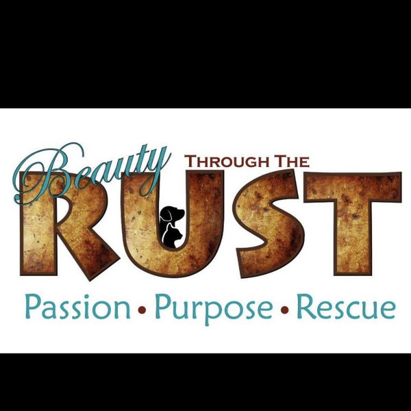 Local Animal Rescue - Beauty Through the Rust