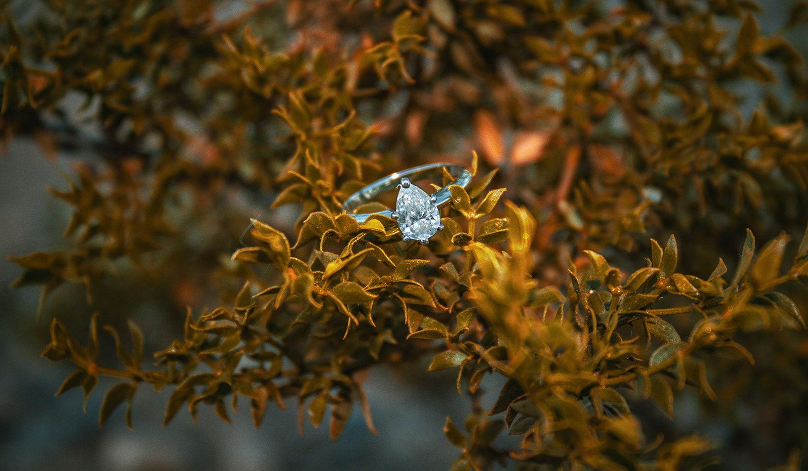 Hero Slideshow Image 3