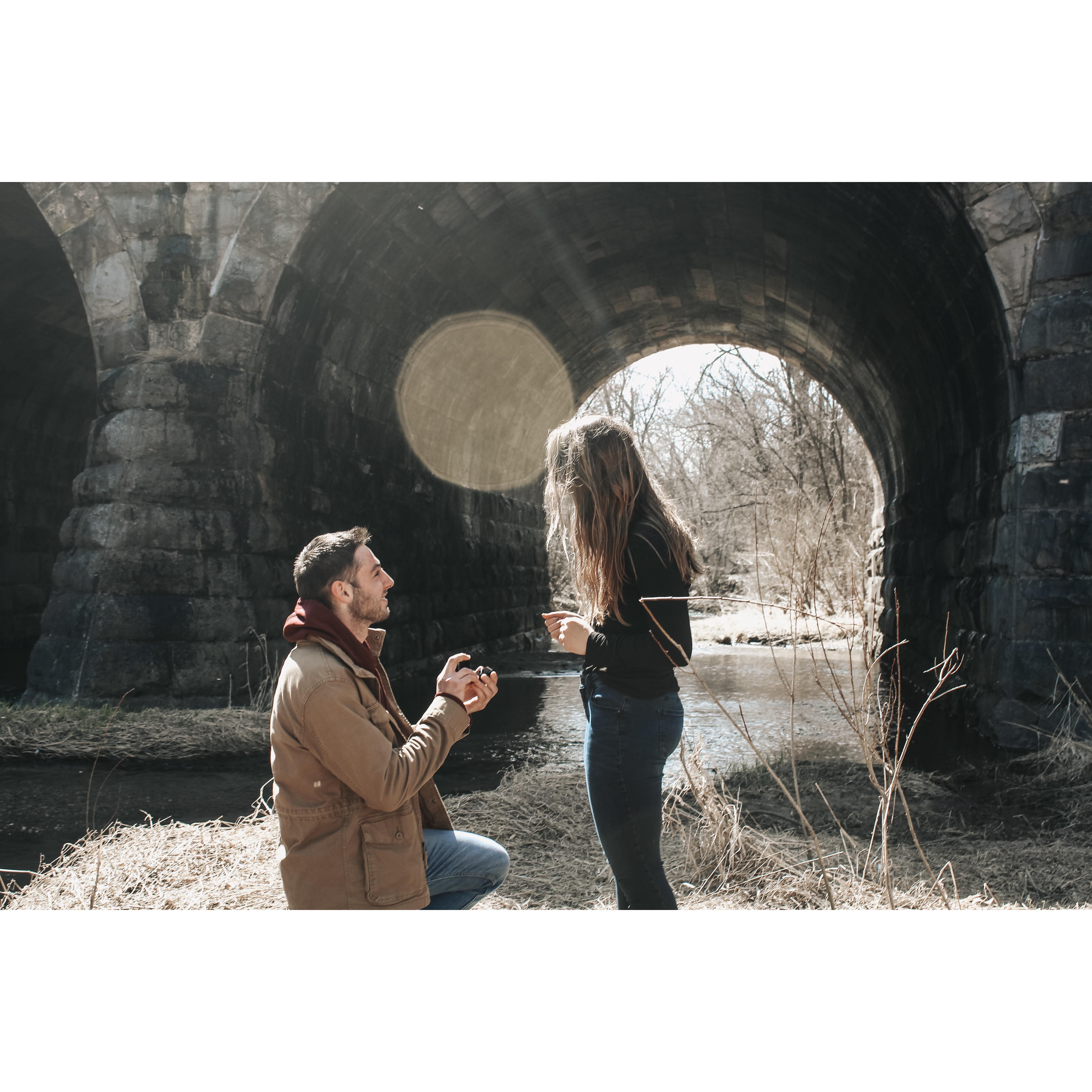 The proposal!
March 25th, 2020