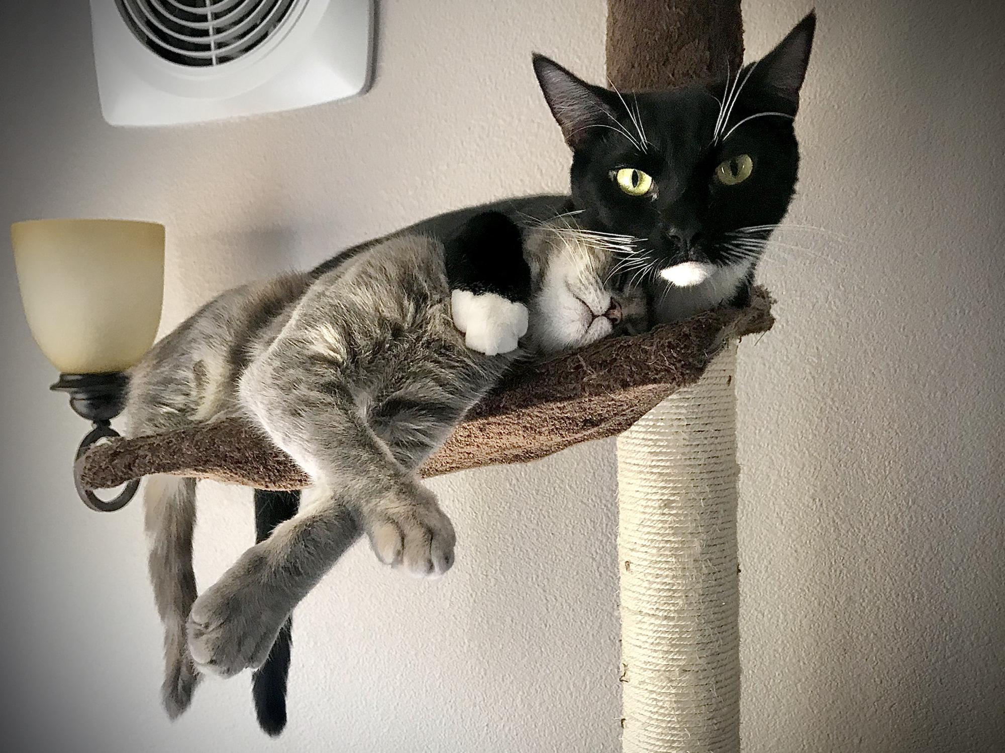 “Mom calls us The Dragons.”