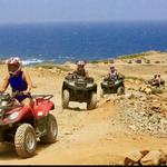 Around Aruba Tours