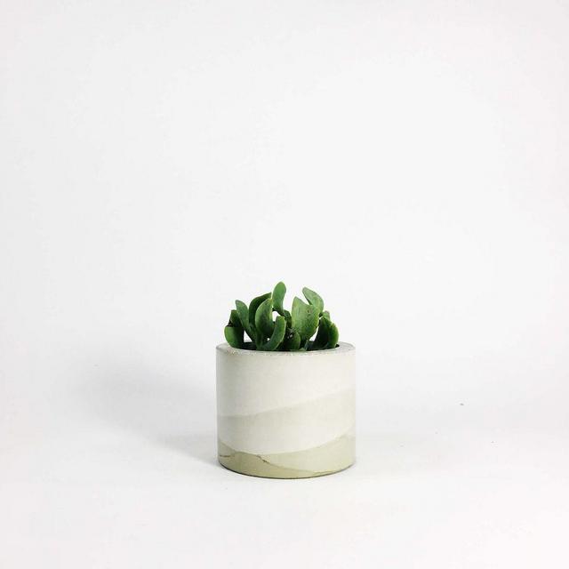SETTLEWELL Concrete Vase, Sage Multi