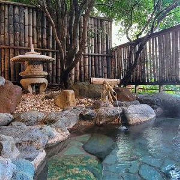 Private Onsen and Ryokan Stay (Hot Springs and Spa)