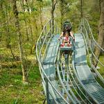 Wilderness Run Alpine Coaster