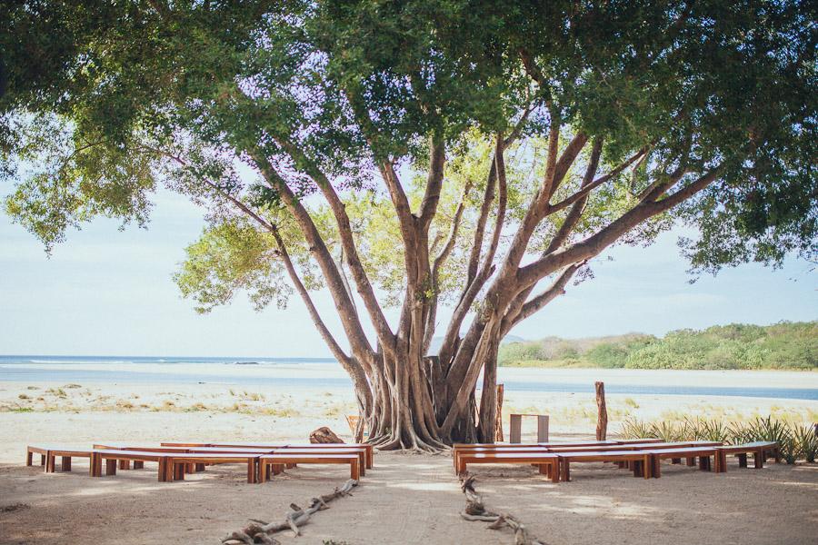 The Wedding Website of Amanda Lima and Filipe Lima