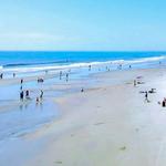 Folly Beach